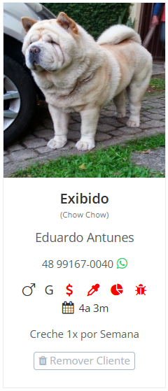 Cartão de um pet